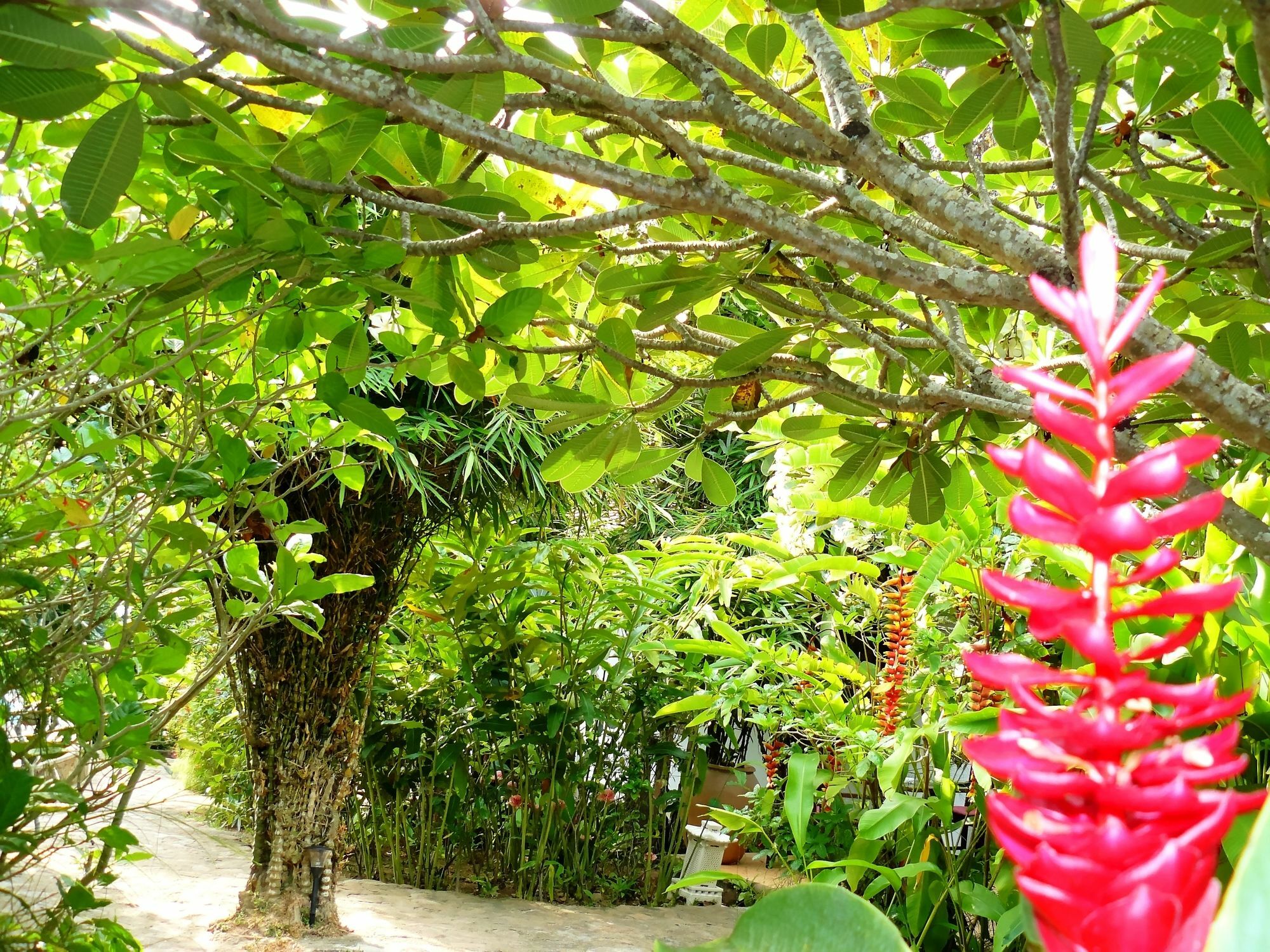 Mealea Resort Kep Exterior photo