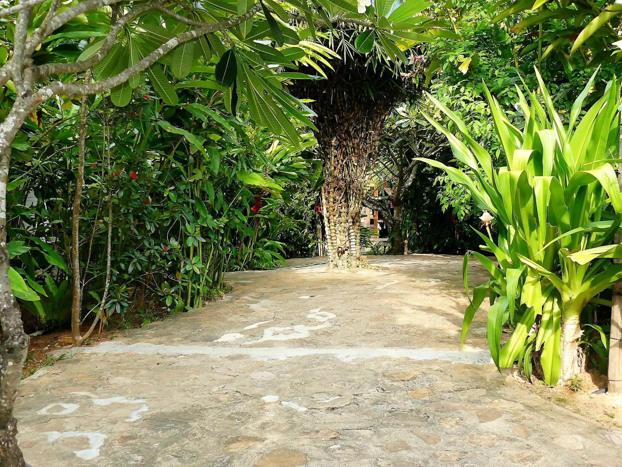 Mealea Resort Kep Exterior photo