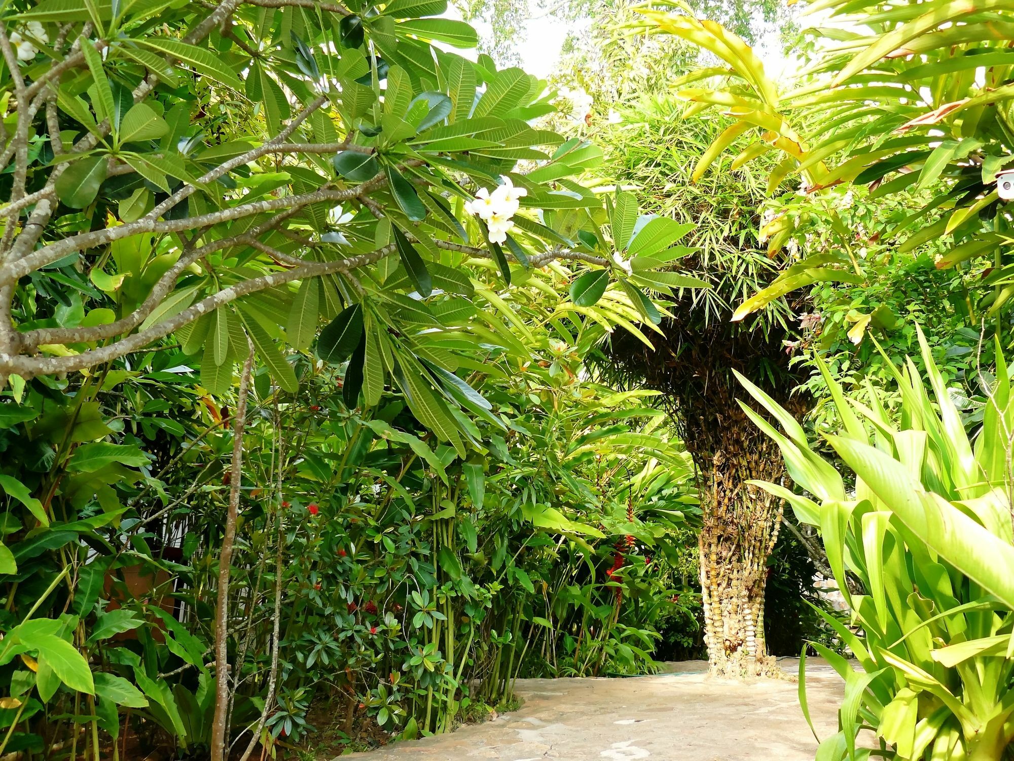 Mealea Resort Kep Exterior photo